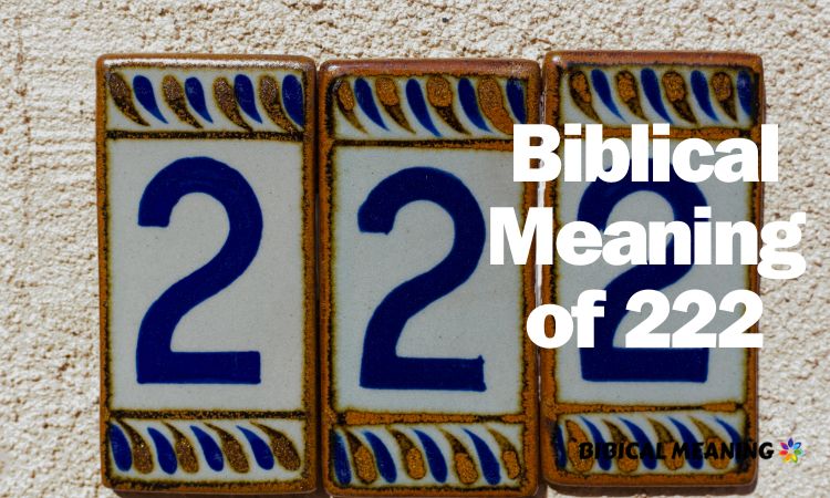 Biblical Meaning of 222