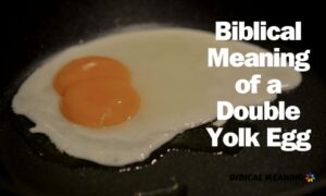 Biblical Meaning of a Double Yolk Egg