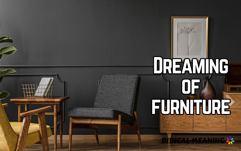 Dreaming of furniture