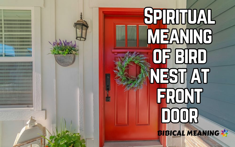 Spiritual meaning of bird nest at front door