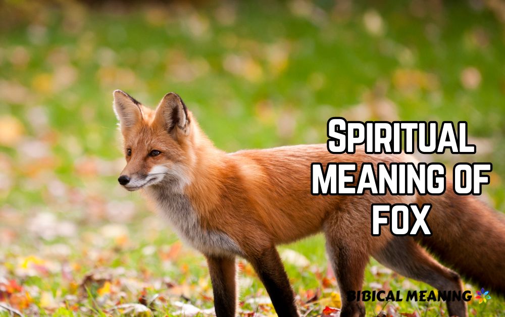 Spiritual meaning of fox