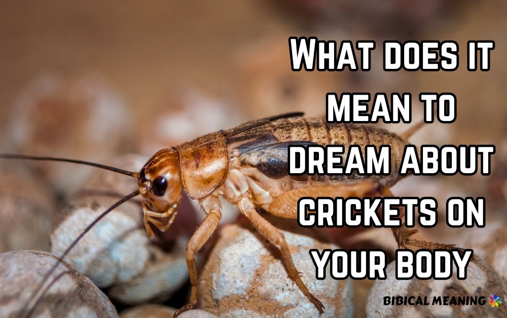 What does it mean to dream about crickets on your body