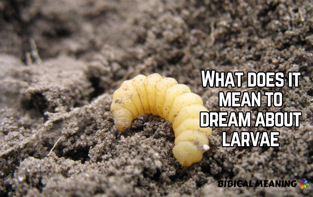 What does it mean to dream about larvae