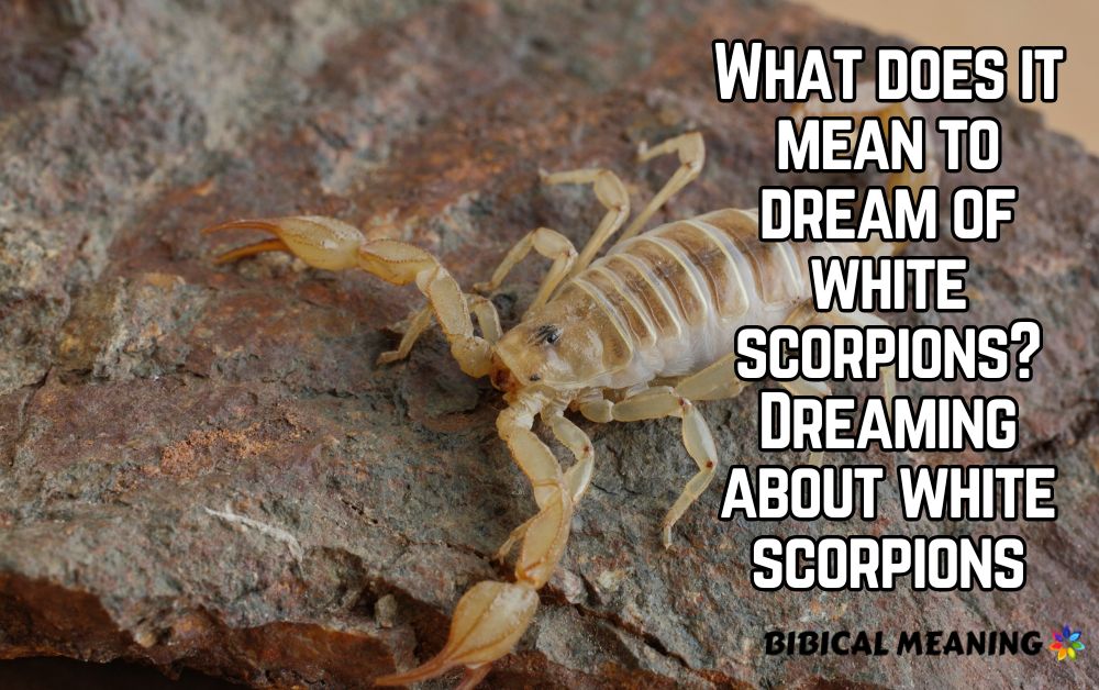 What does it mean to dream of white scorpions