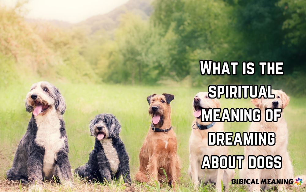 What is the spiritual meaning of dreaming about dogs