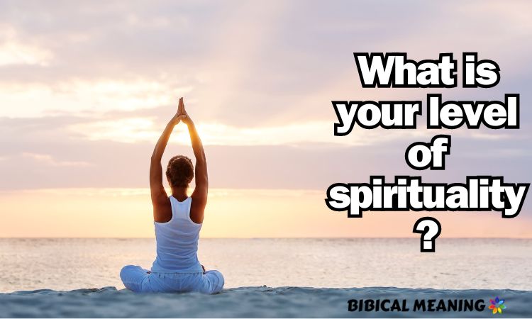 What is your level of spirituality