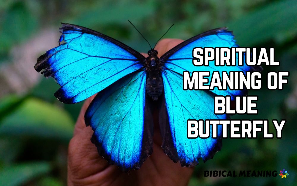 spiritual meaning of blue butterfly