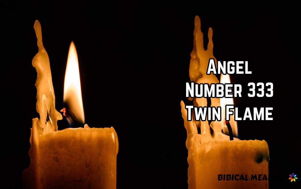 Angel Number 333 Twin Flame