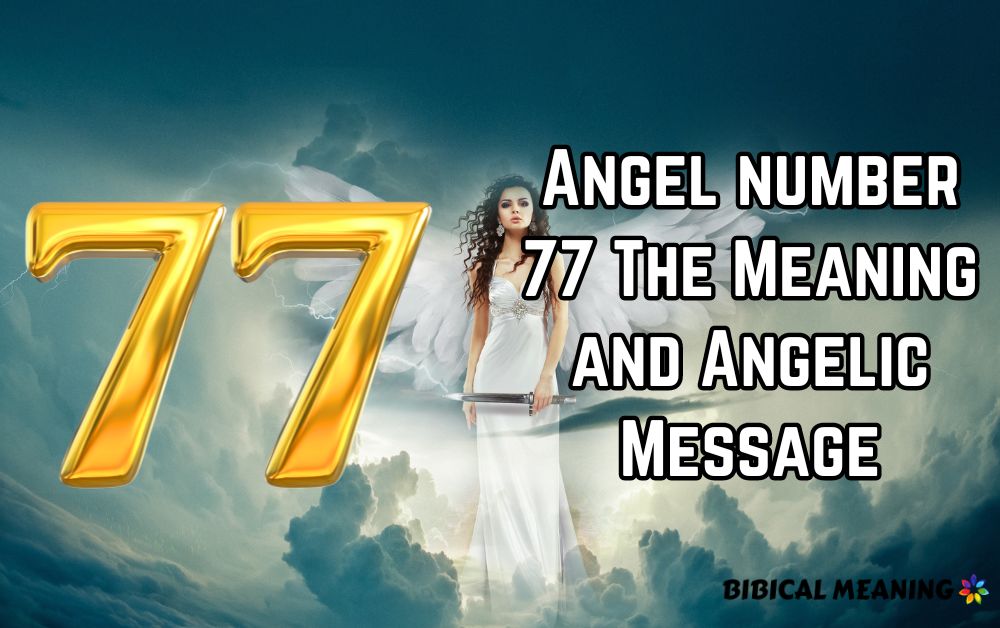 Angel number 77