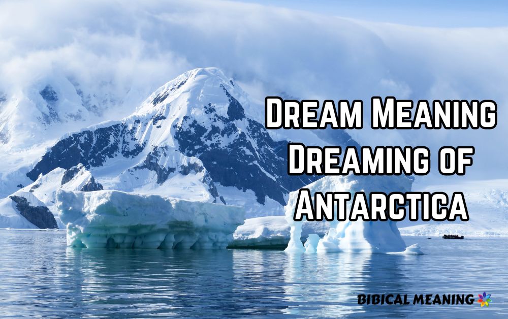 Dream Meaning Dreaming of Antarctica