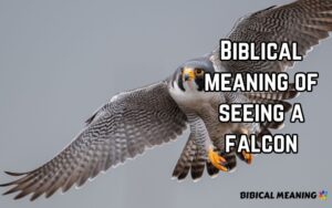 Biblical meaning of seeing a falcon