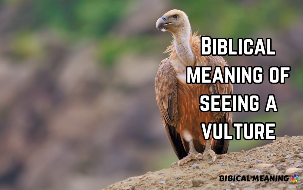 Biblical meaning of seeing a vulture
