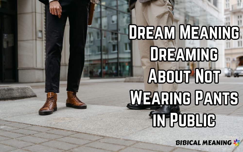 Dream Meaning Dreaming About Not Wearing Pants in Public