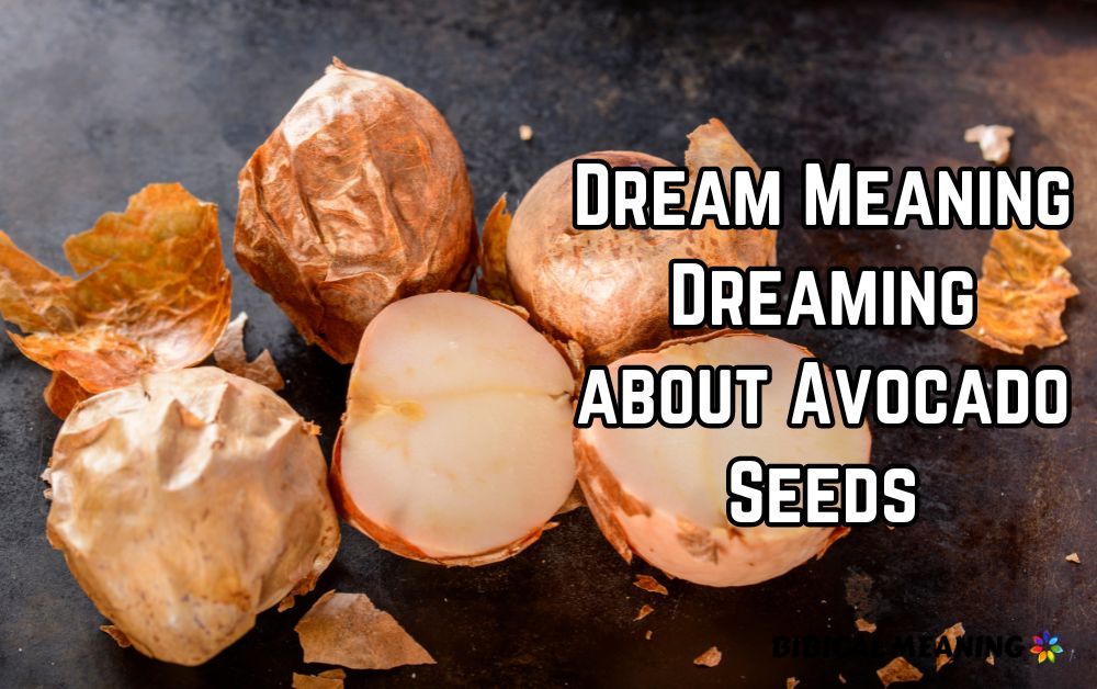 Dream Meaning Dreaming about Avocado Seeds