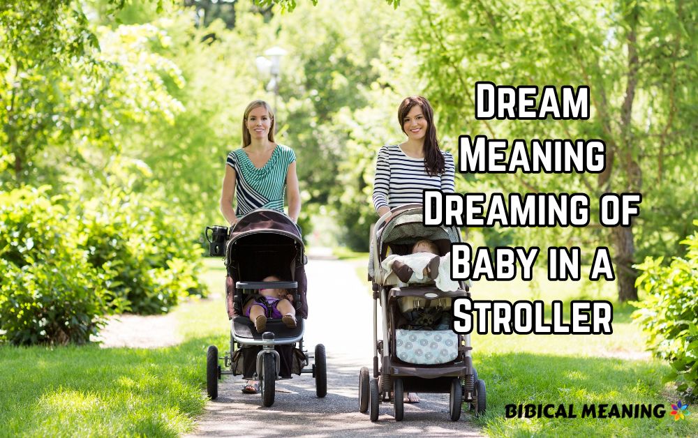 Dream Meaning Dreaming of Baby in a Stroller