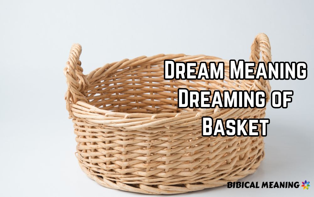 Dream Meaning Dreaming of Basket