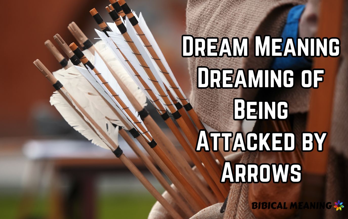 Dream Meaning Dreaming of Being Attacked by Arrows