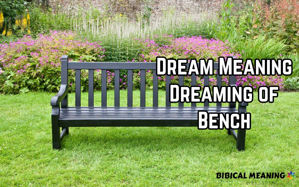 Dream Meaning Dreaming of Bench