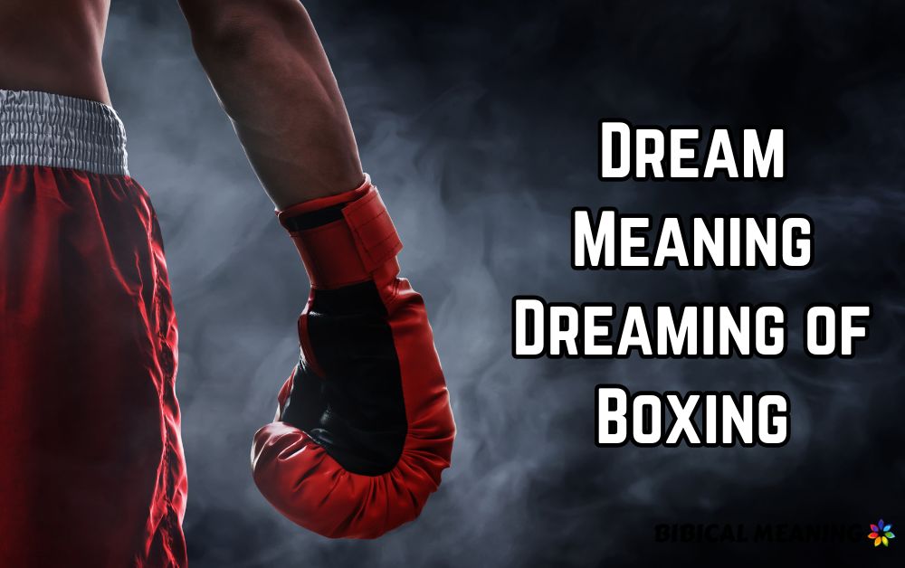 Dream Meaning Dreaming of Boxing