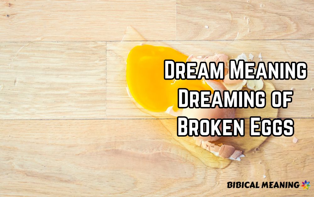 Dream Meaning Dreaming of Broken Eggs