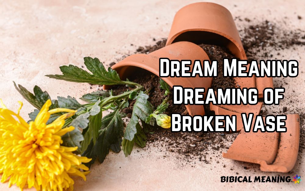 Dream Meaning Dreaming of Broken Vase