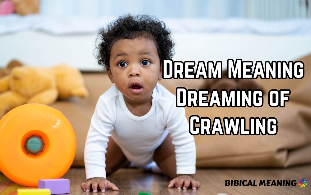 Dream Meaning Dreaming of Crawling