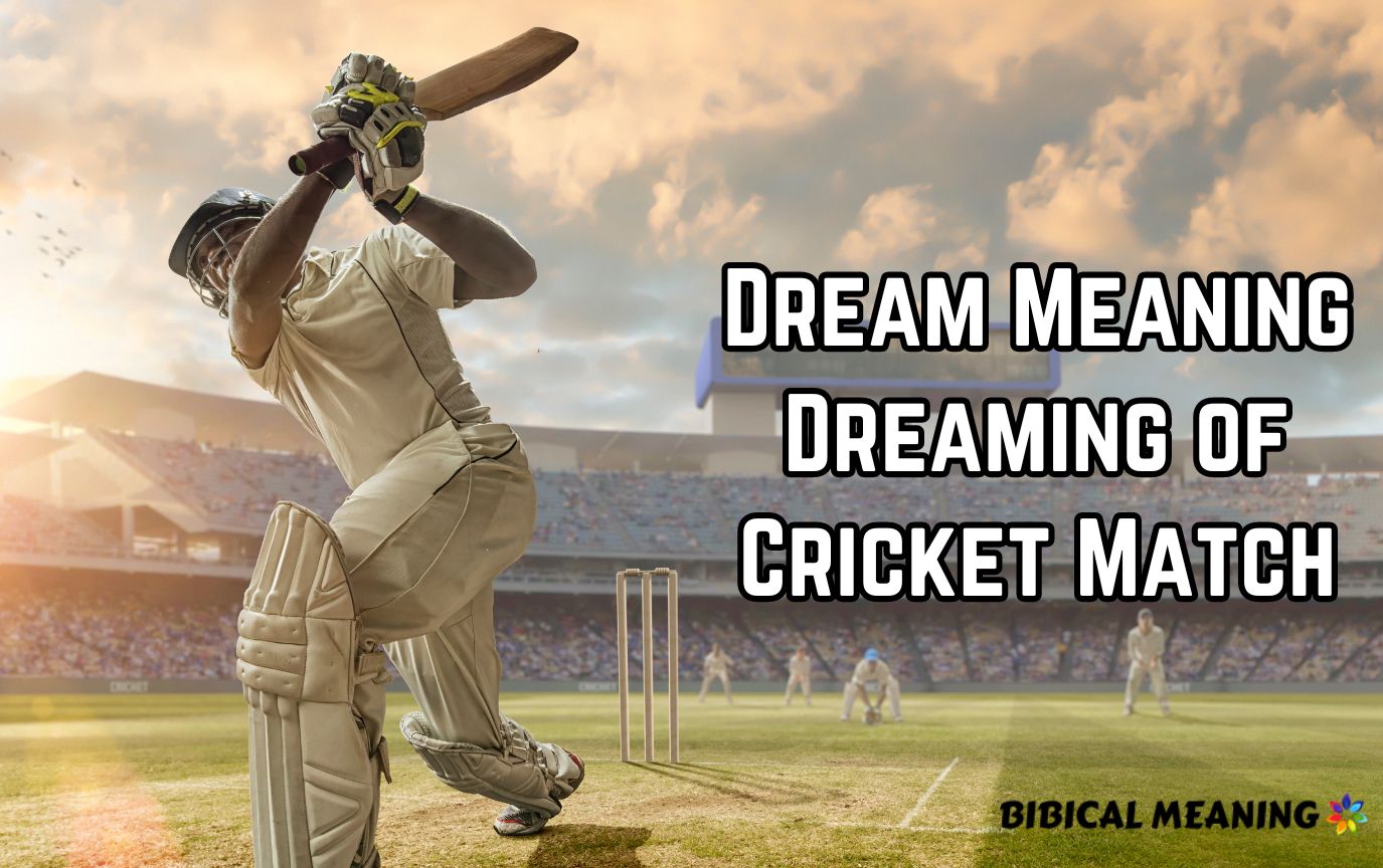 Dream Meaning Dreaming of Cricket Match