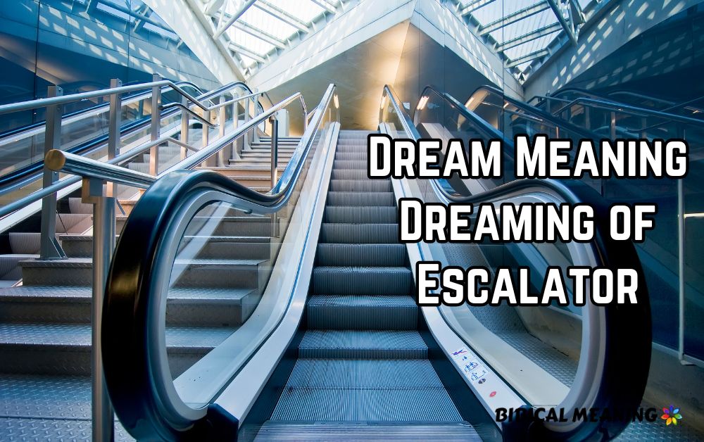 Dream Meaning Dreaming of Escalator