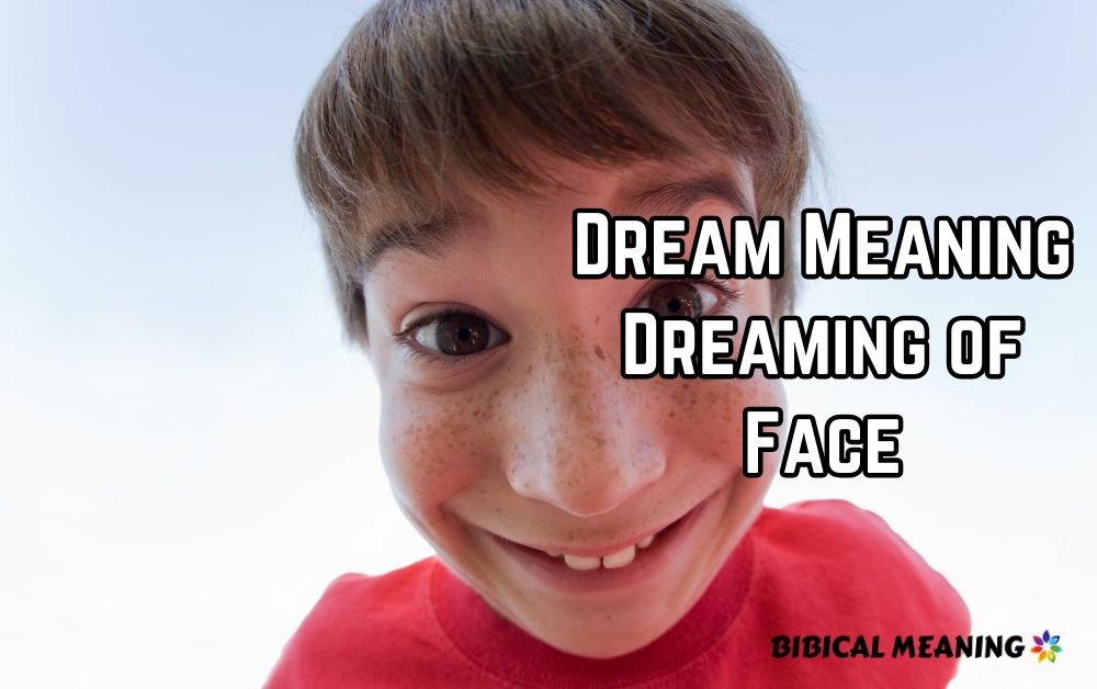 Dream Meaning Dreaming of Face 