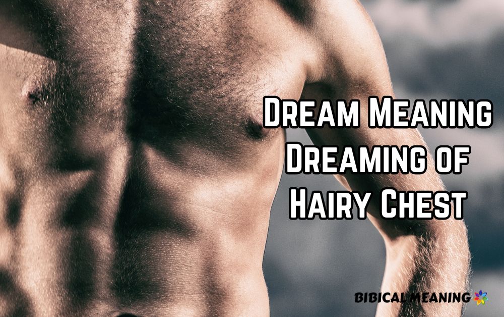 Dream Meaning Dreaming of Hairy Chest