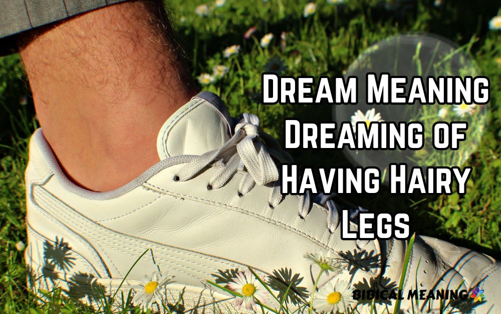 Dream Meaning Dreaming of Having Hairy Legs