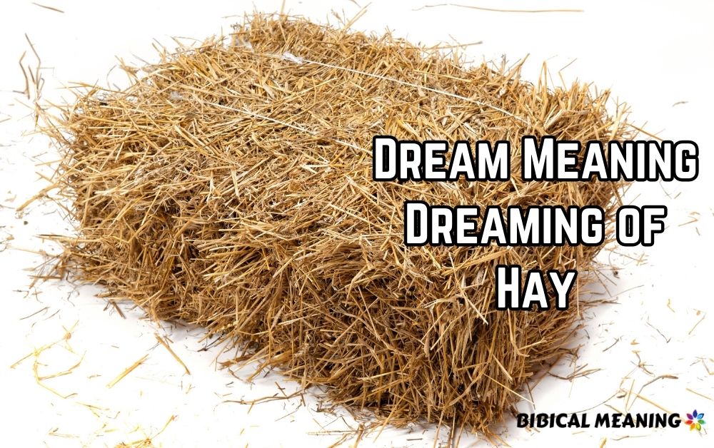 Dream Meaning Dreaming of Hay 