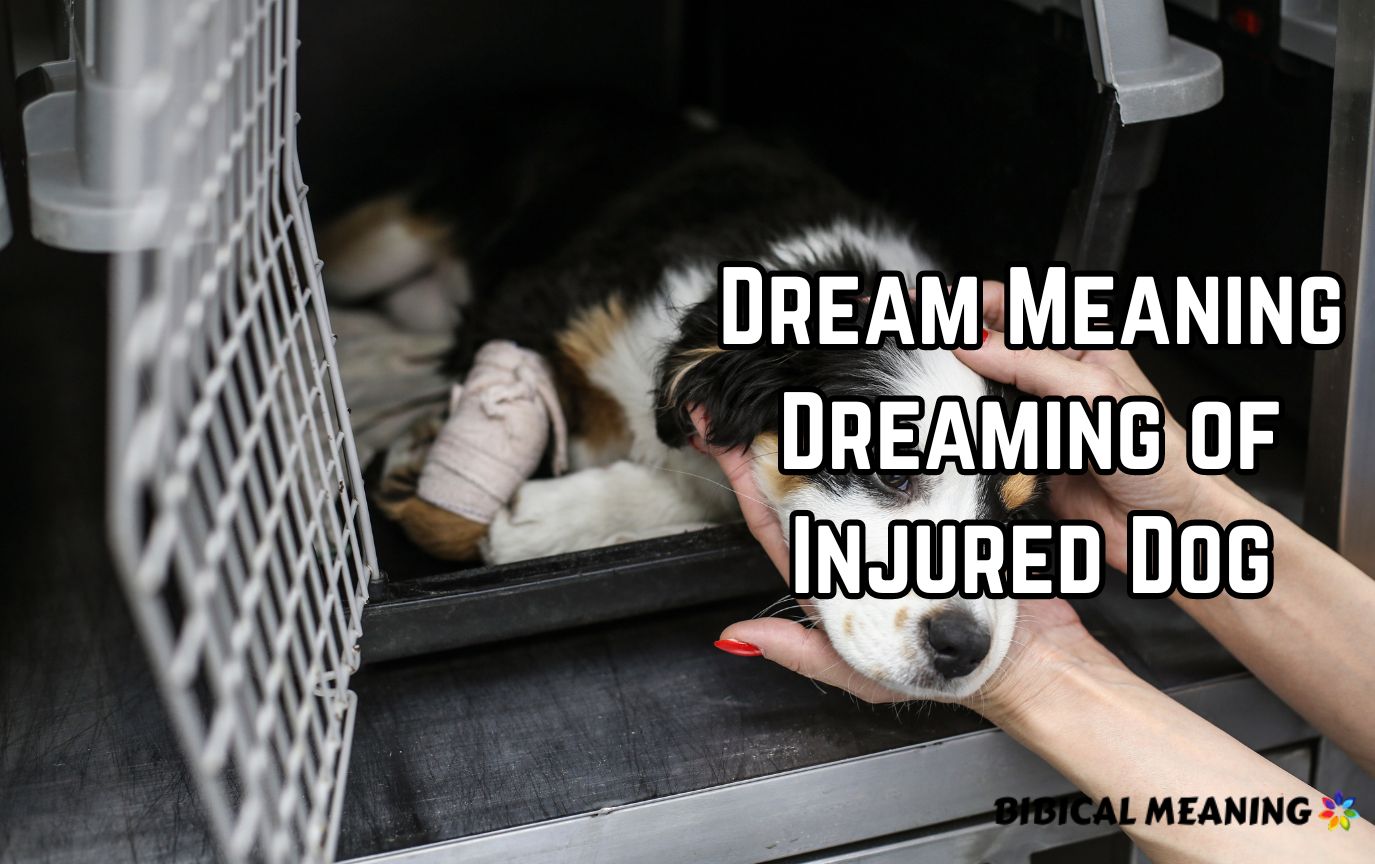 Dream Meaning Dreaming of Injured Dog