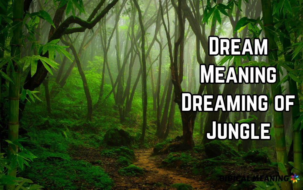 Dream Meaning Dreaming of Jungle