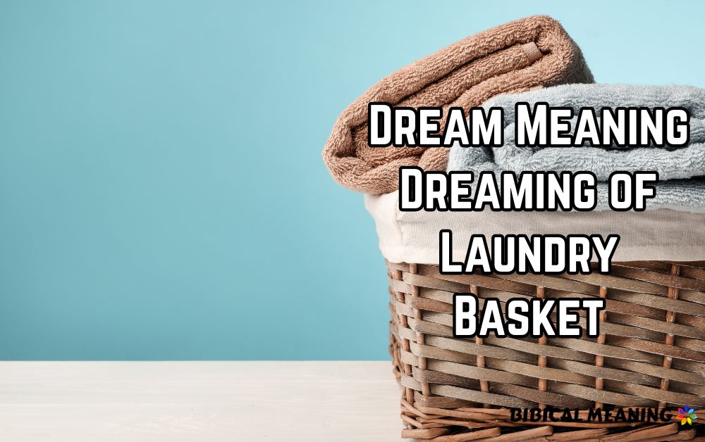 Dream Meaning Dreaming of Laundry Basket