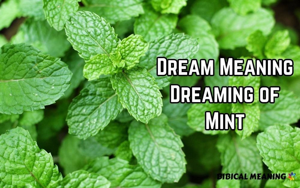 Dream Meaning Dreaming of Mint 