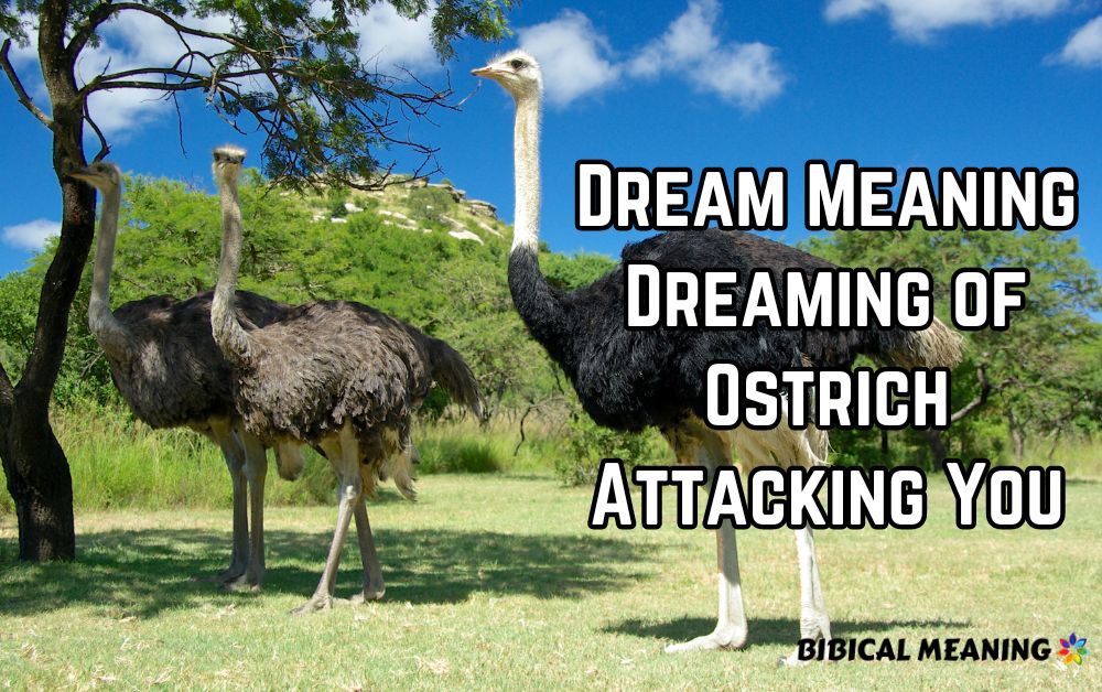 Dream Meaning Dreaming of Ostrich Attacking You