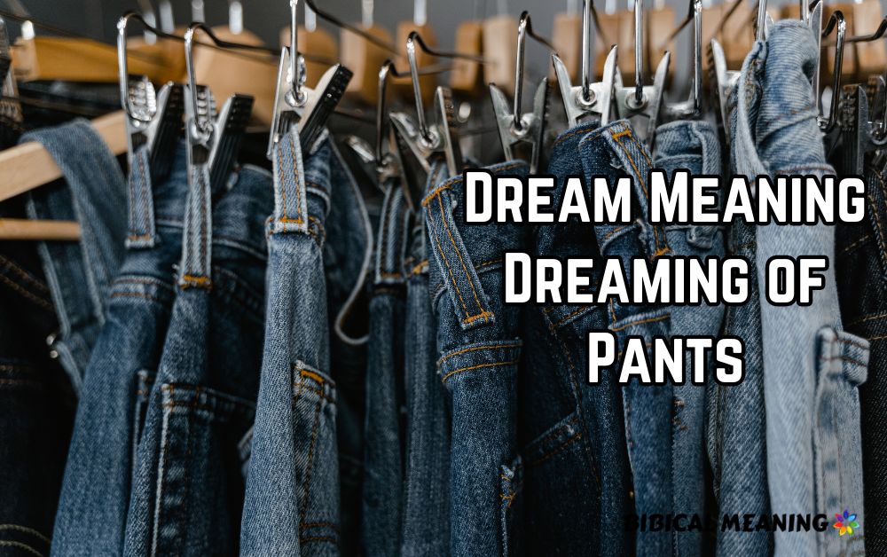 Dream Meaning Dreaming of Pants