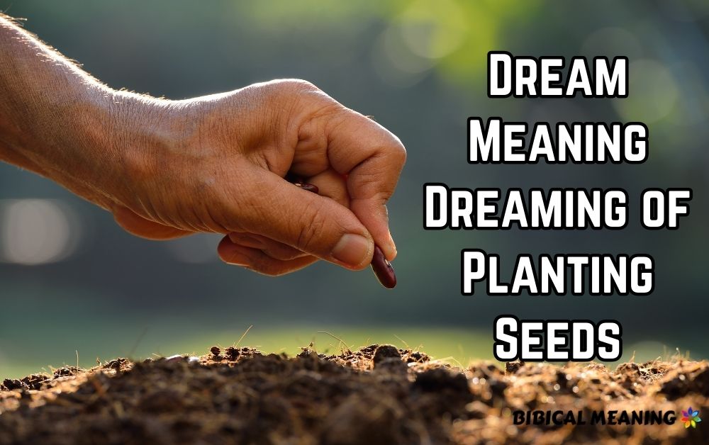 Dream Meaning Dreaming of Planting Seeds 