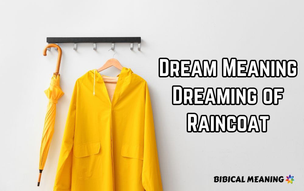 Dream Meaning Dreaming of Raincoat