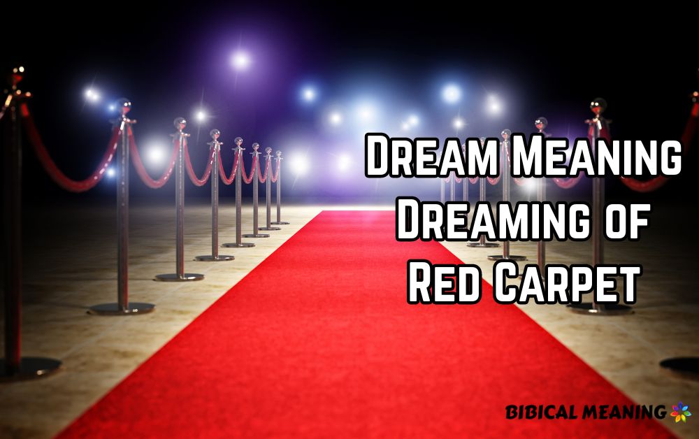 Dream Meaning Dreaming of Red Carpet