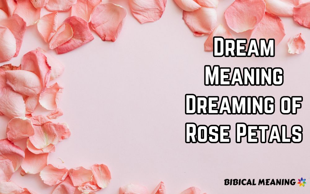 Dream Meaning Dreaming of Rose Petals