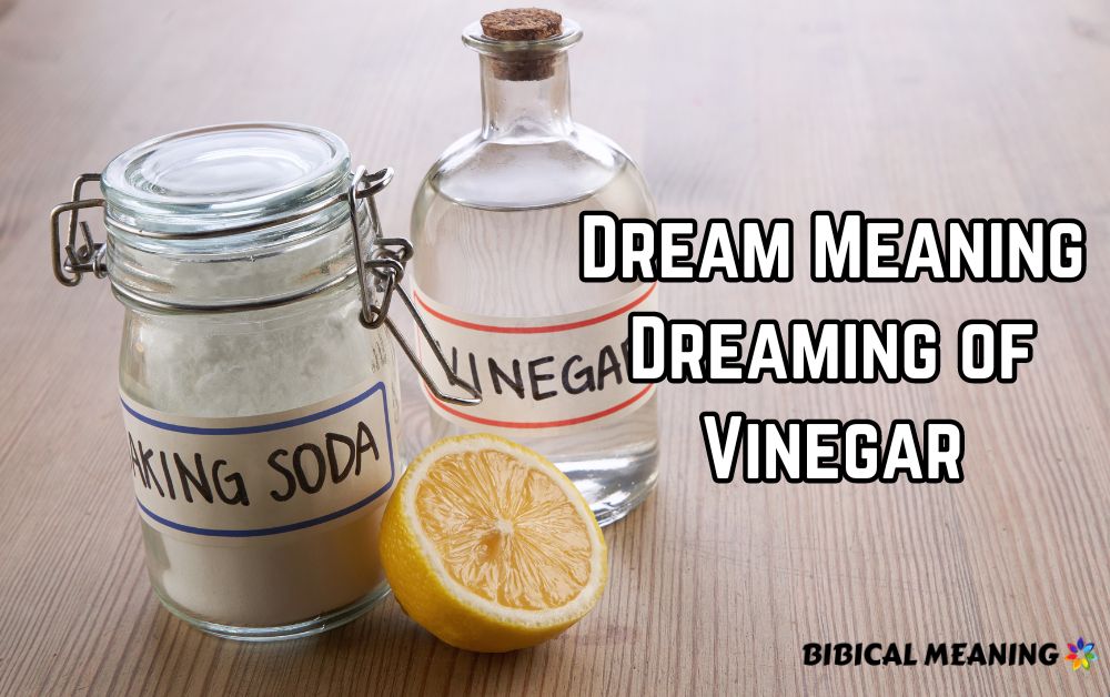 Dream Meaning Dreaming of Vinegar