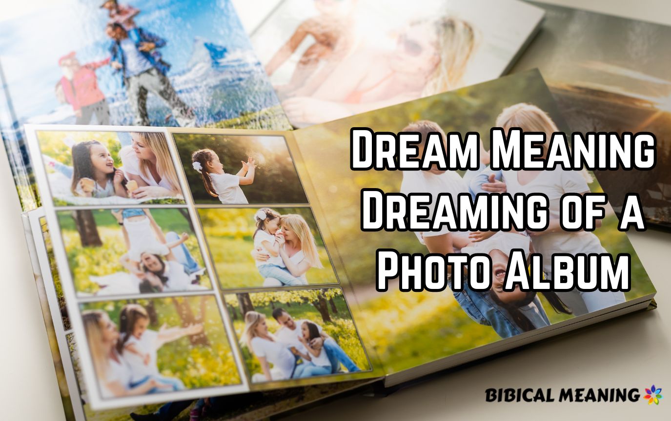 Dream Meaning Dreaming of a Photo Album