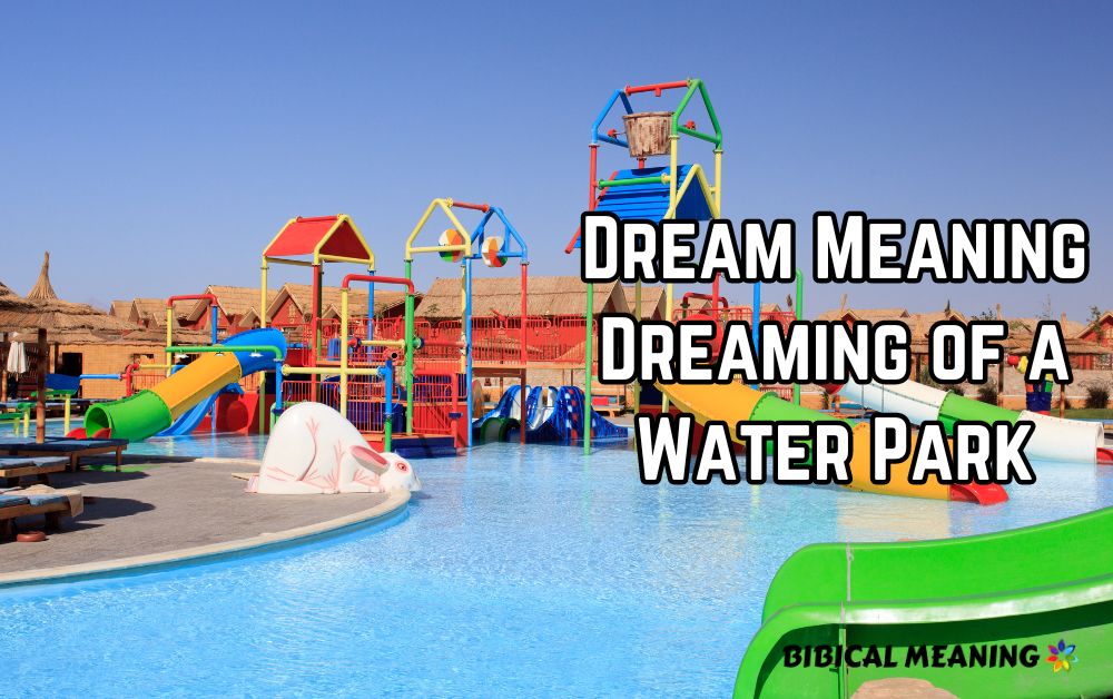 Dream Meaning Dreaming of a Water Park