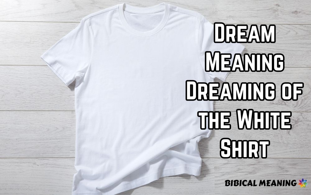 Dream Meaning Dreaming of the White Shirt 