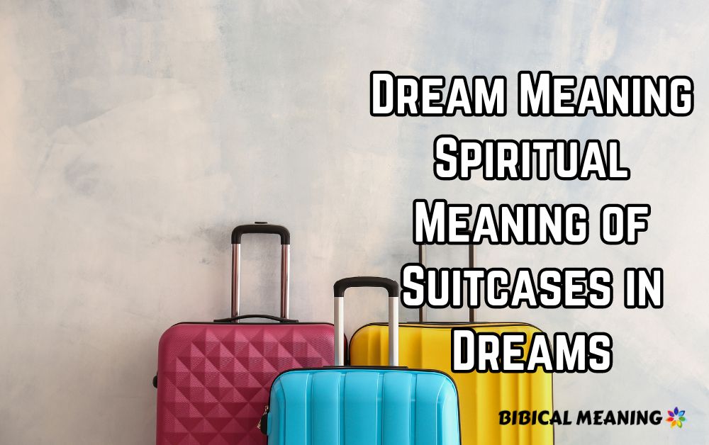 Dream Meaning Spiritual Meaning of Suitcases in Dreams