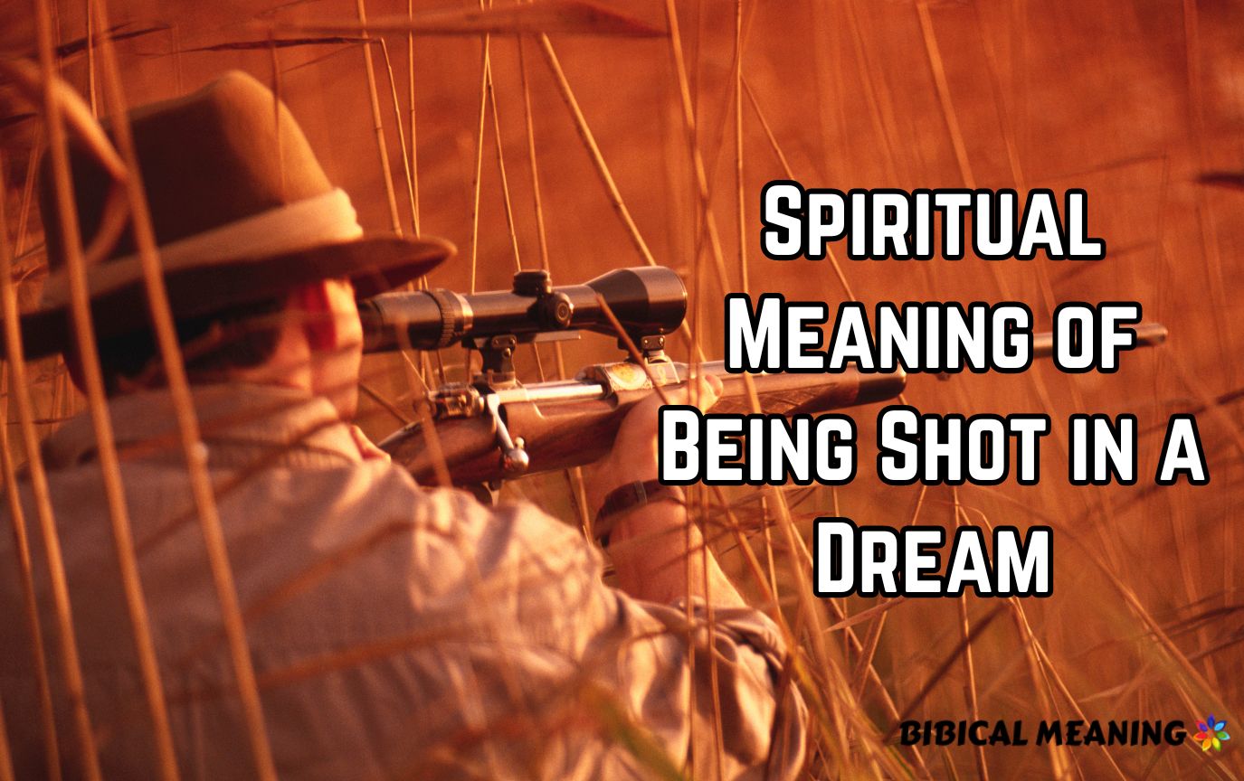 Spiritual Meaning of Being Shot in a Dream