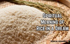 Spiritual Meaning of Rice in a Dream