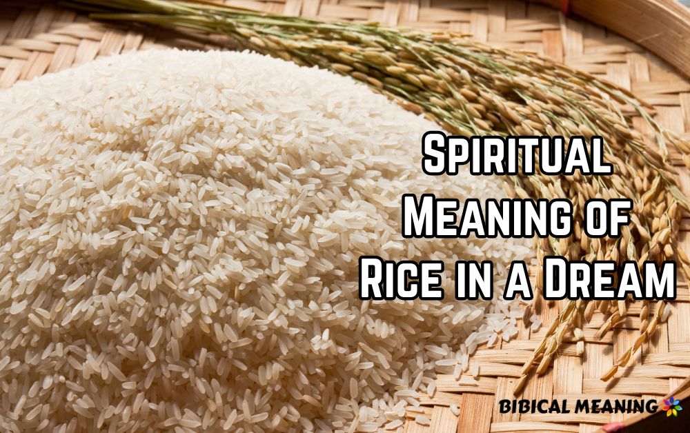 Spiritual Meaning of Rice in a Dream